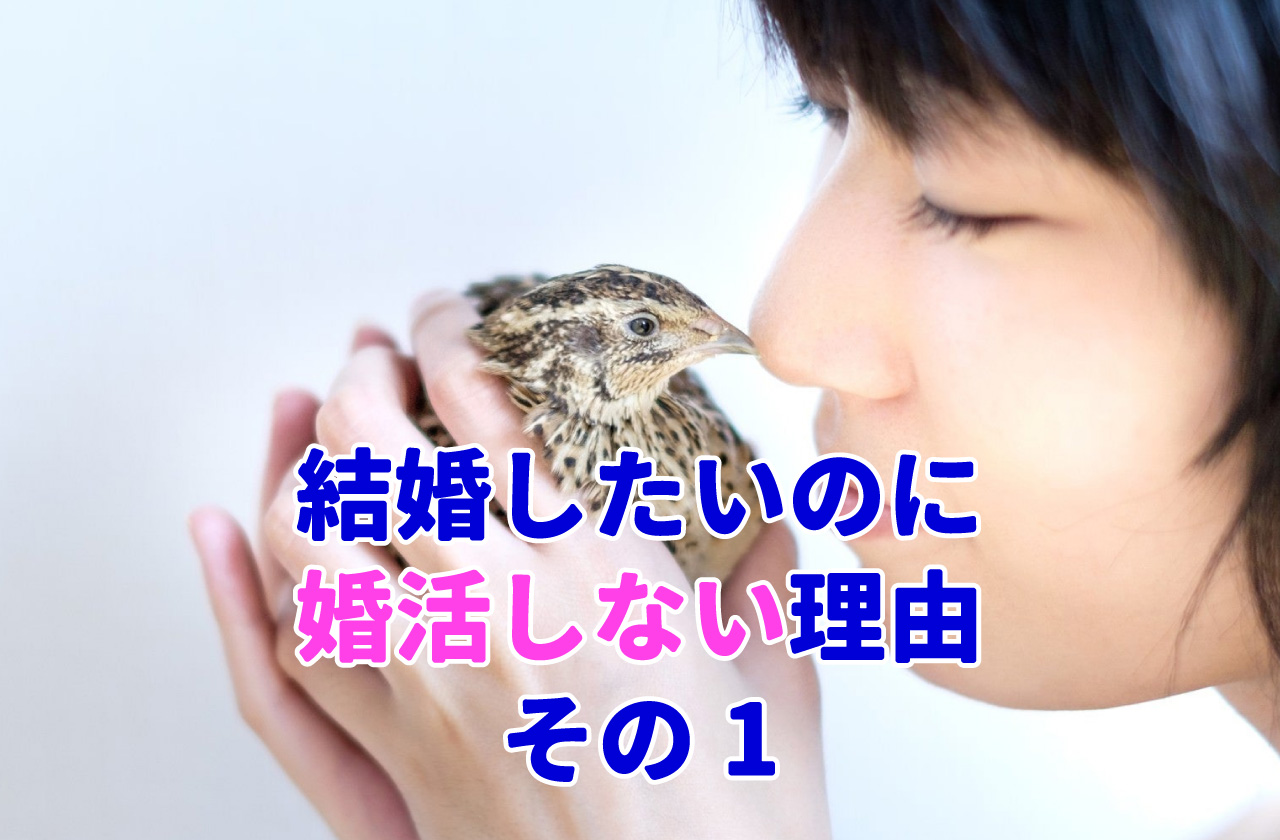 結婚したいのに婚活しない理由その1。 結婚相談所ムーンライト 結婚相談所ブログ 全国優良おすすめ結婚相談所・自治体婚活情報【MPナビ】